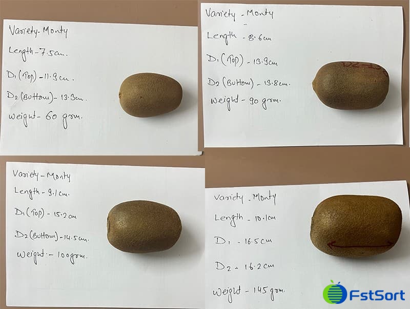 images/1735285188842kiwi fruit grading line.jpg
